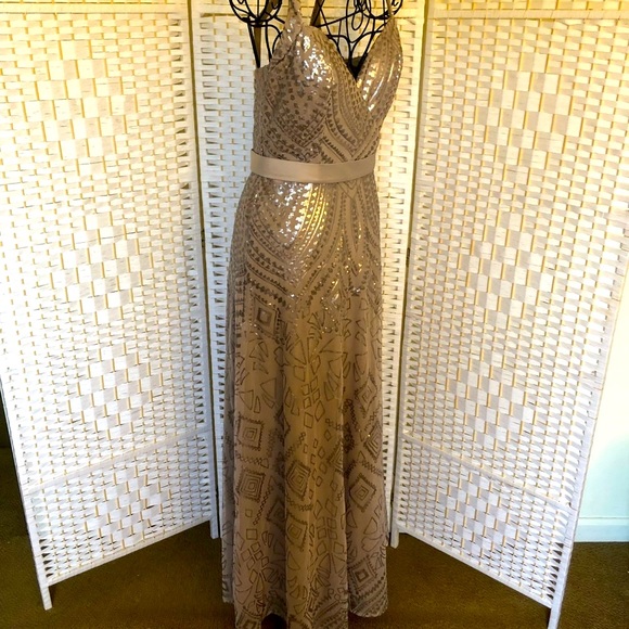 ✅ Angelina Faccenda taupe sequined formal maxi dress - Picture 4 of 16